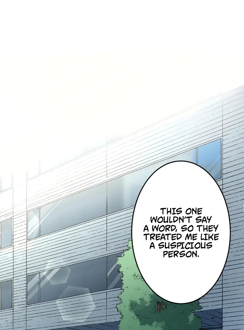 Read I Peeked at My Husband's Secret Account Manga Online