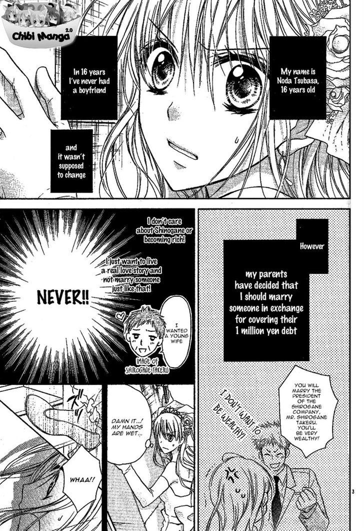 Read Junai Bride Manga Online