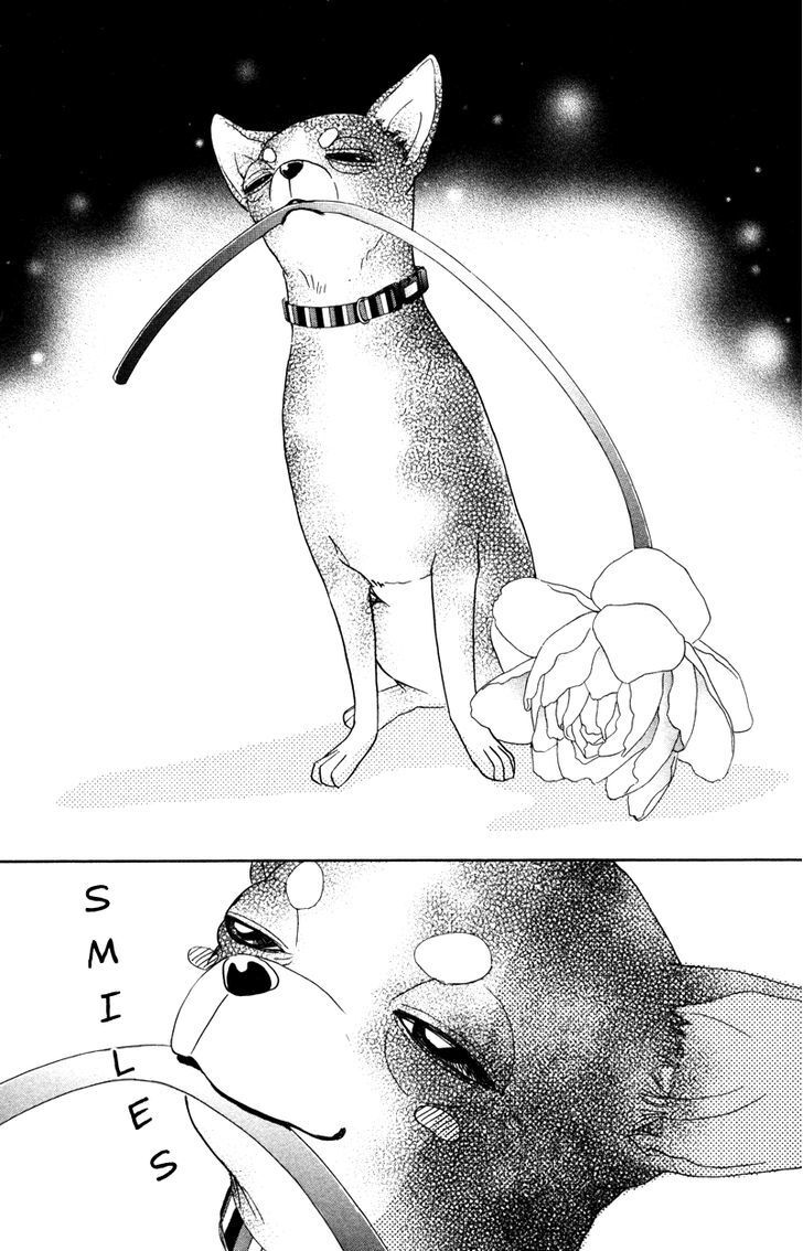 Read Kindan no Koibito Manga Online