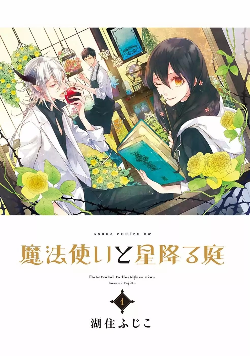 Read Mahou Tsukai to Hoshi Furu Niwa Manga Online