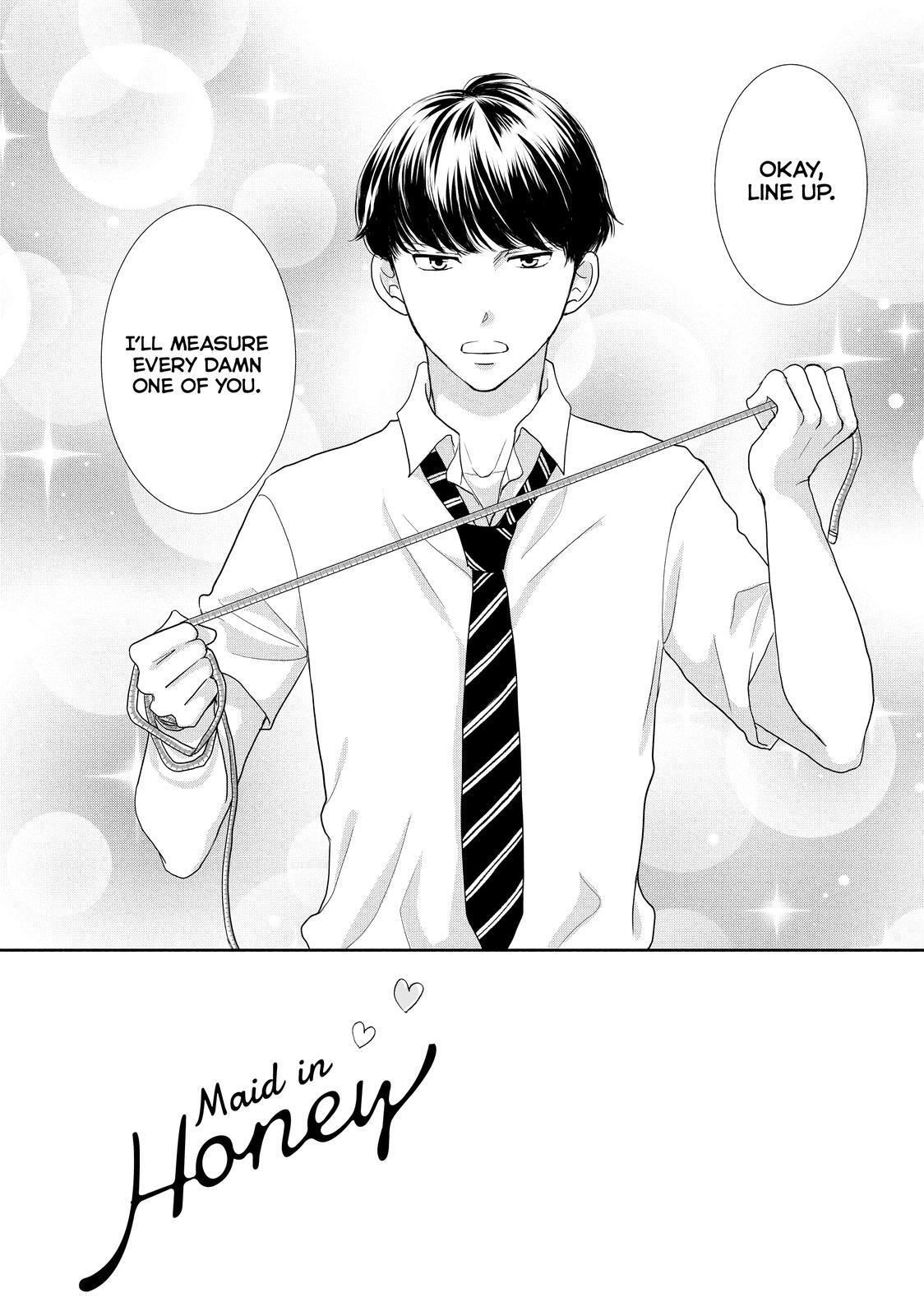 Read Maid in Honey Manga Online