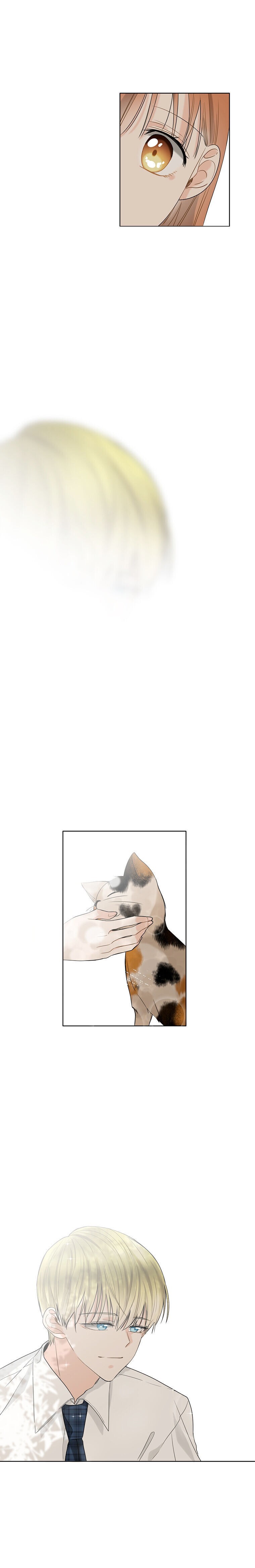 Read Meet You Manga Online