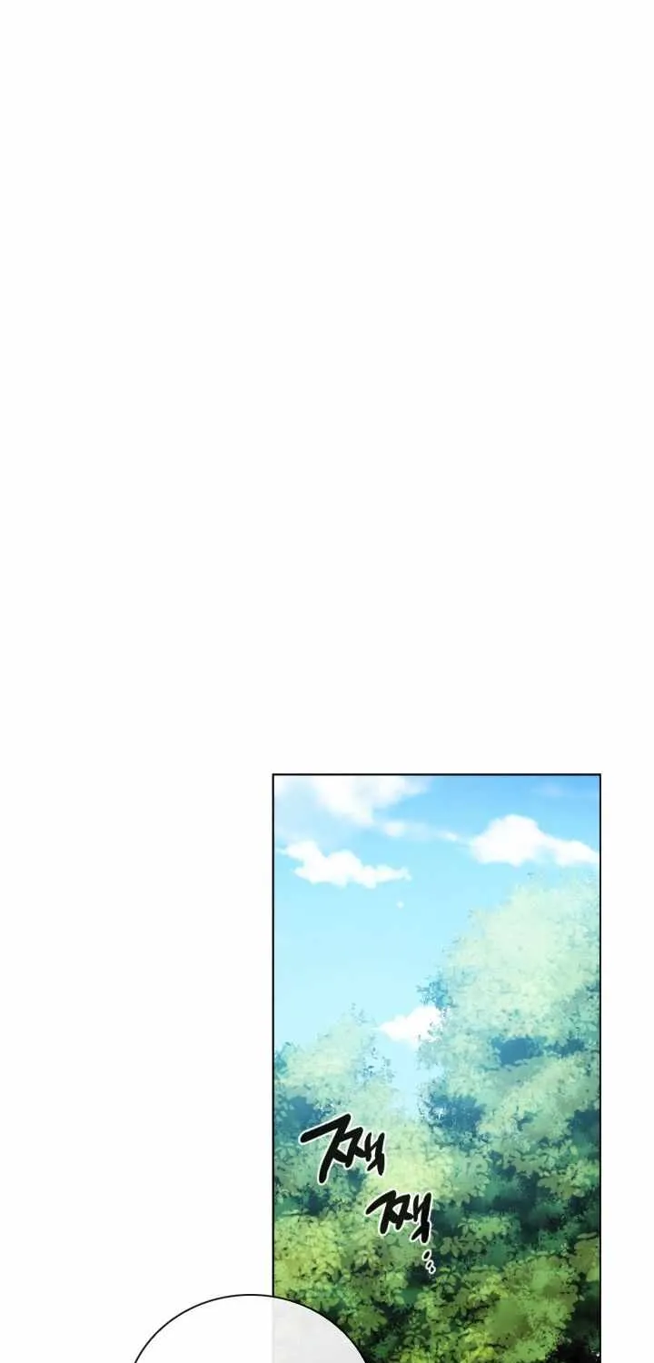 Read Memorize Manga Online