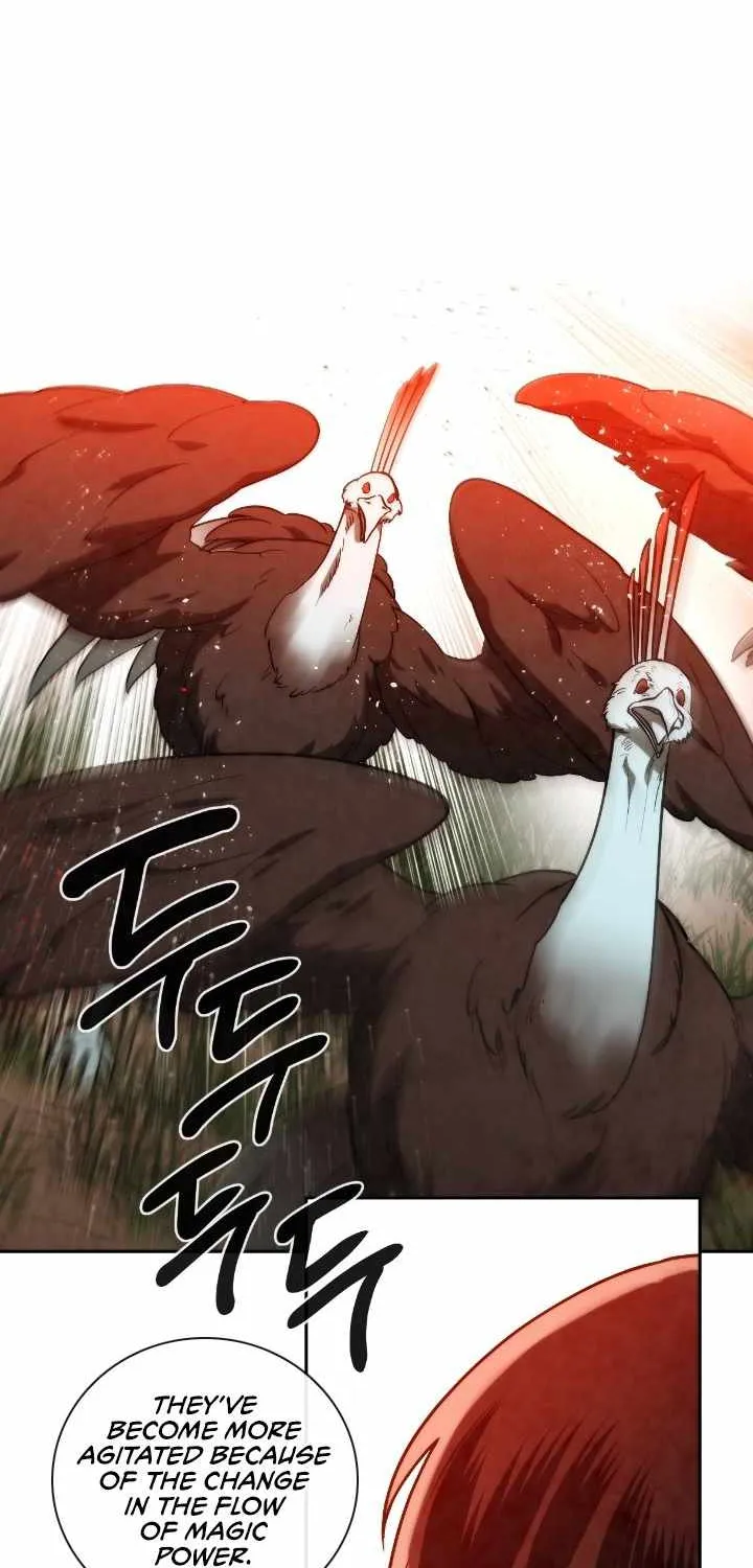 Read Memorize Manga Online