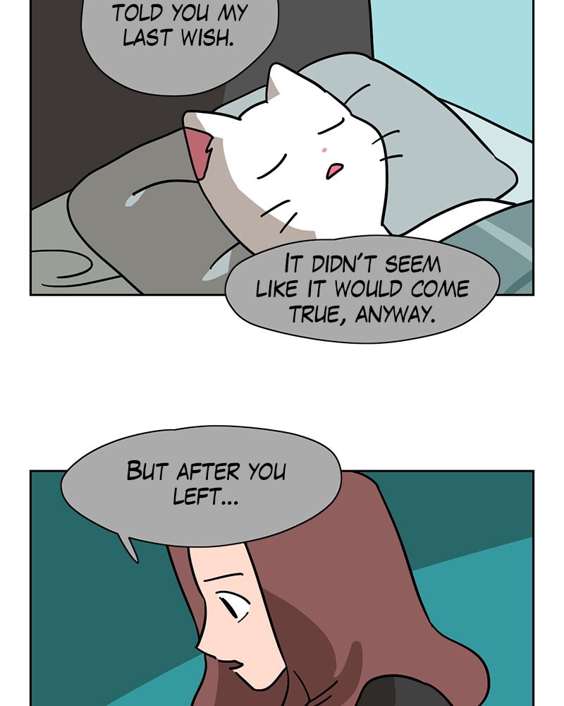 Read Meow Man Manga Online