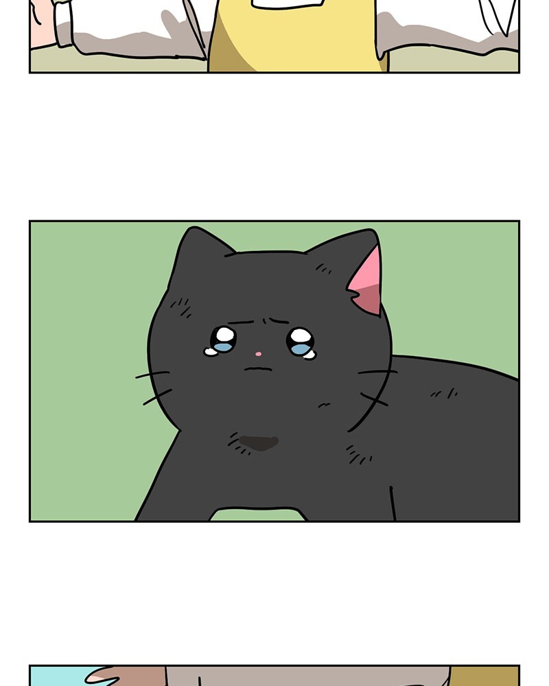 Read Meow Man Manga Online