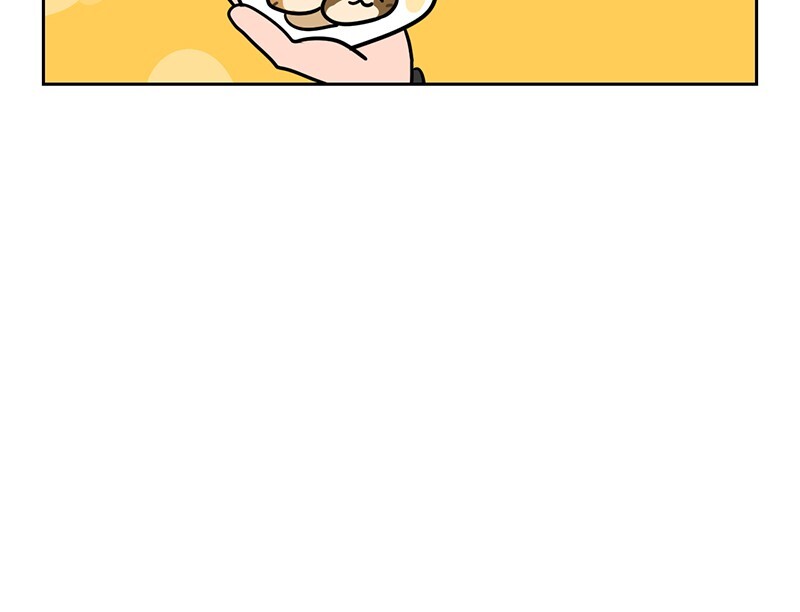 Read Meow Man Manga Online