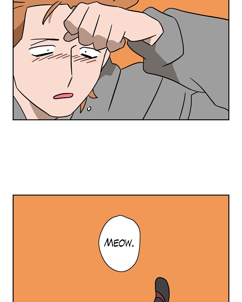 Read Meow Man Manga Online