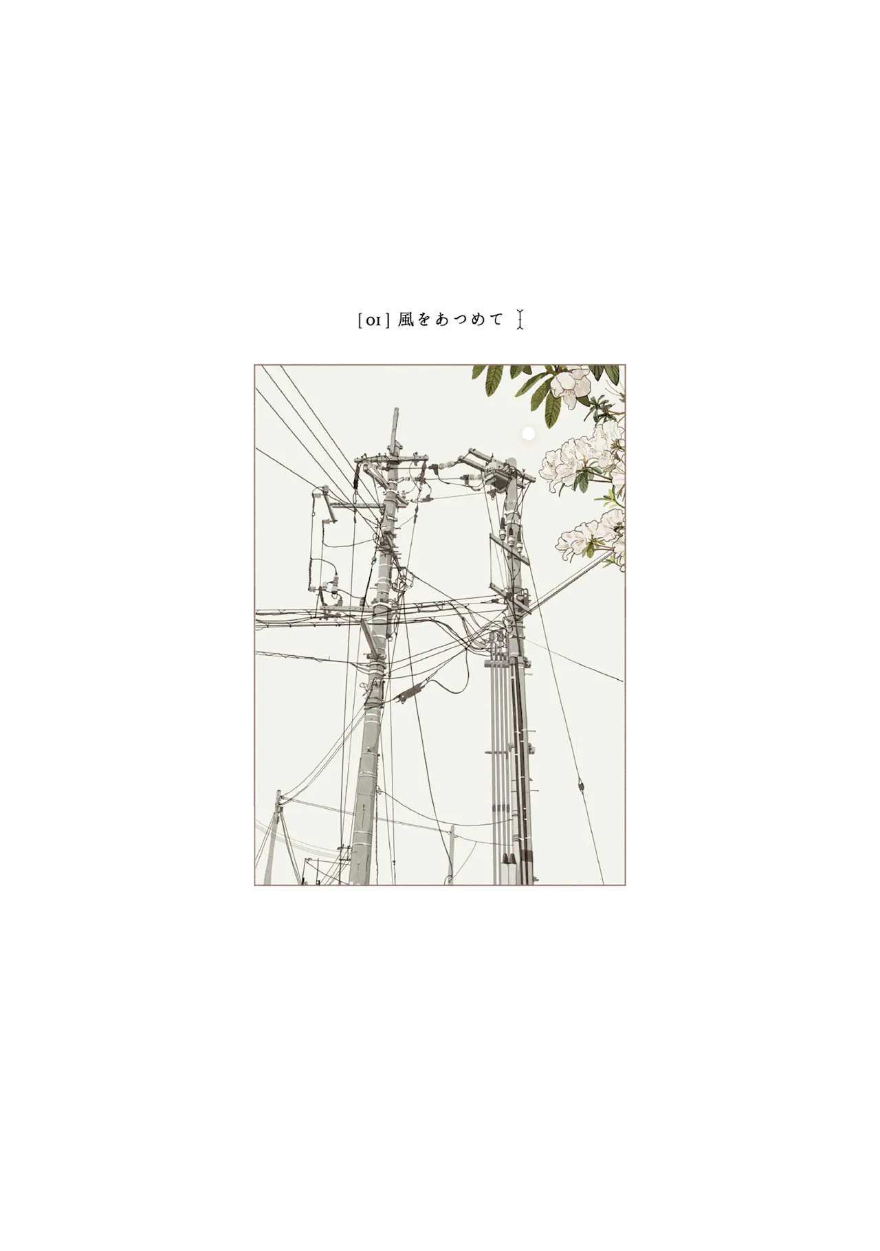 Read Midori no Uta Manga Online