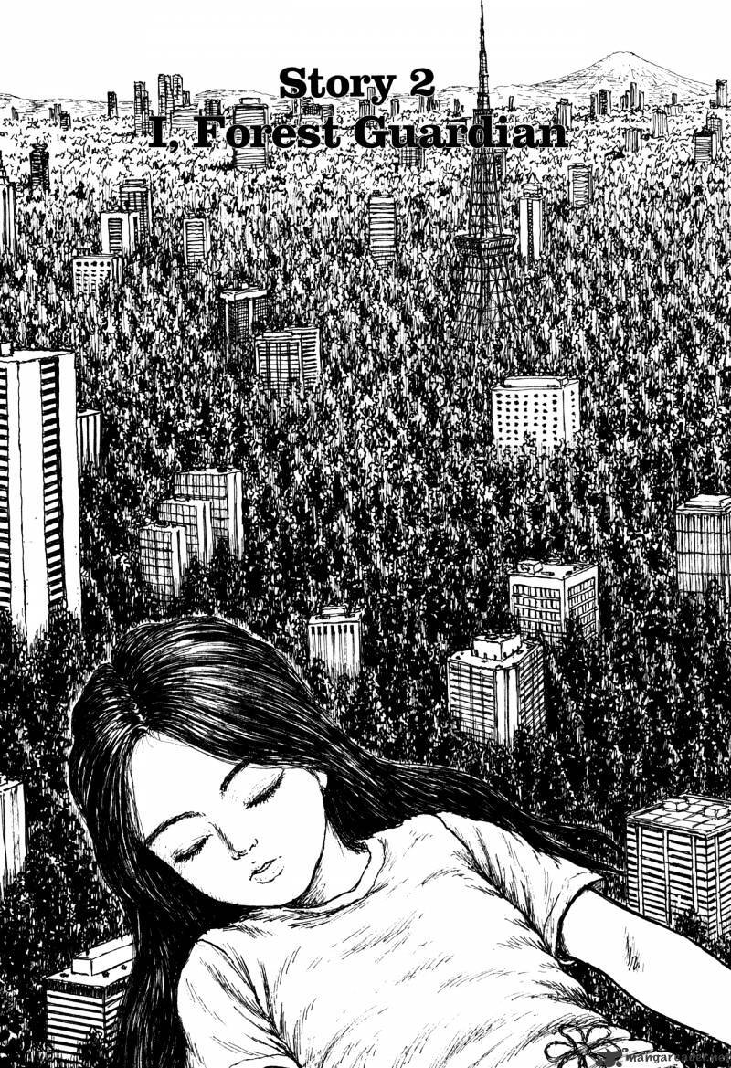 Read Miyori no Mori Manga Online