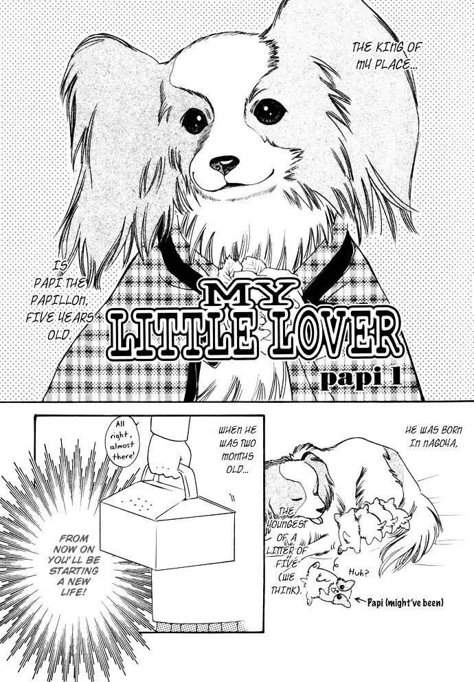 Read My Little Lover Manga Online