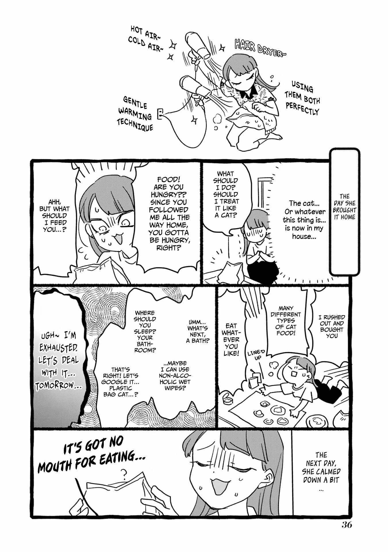 Read My Sweet Plastic Bag Cat Manga Online