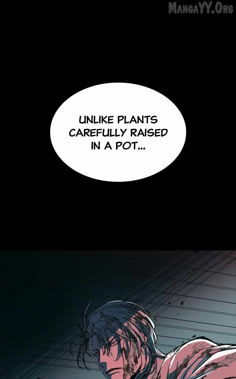 Read Nine Dragons_ COPÓKA Manga Online