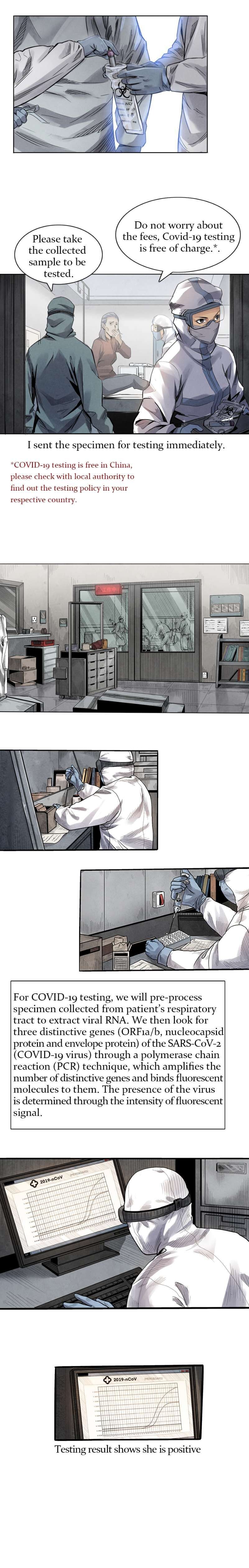 Read One World, One Fight! Manga Online