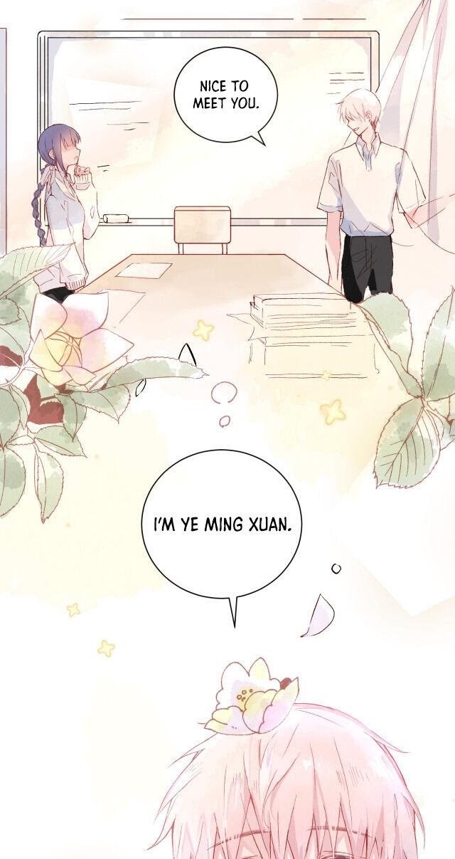 Read Please Let Me Study Hard Manga Online