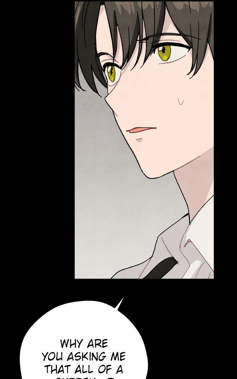 Read Potion Witch Manga Online