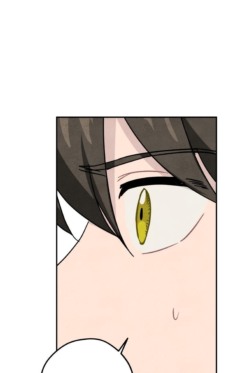 Read Potion Witch Manga Online