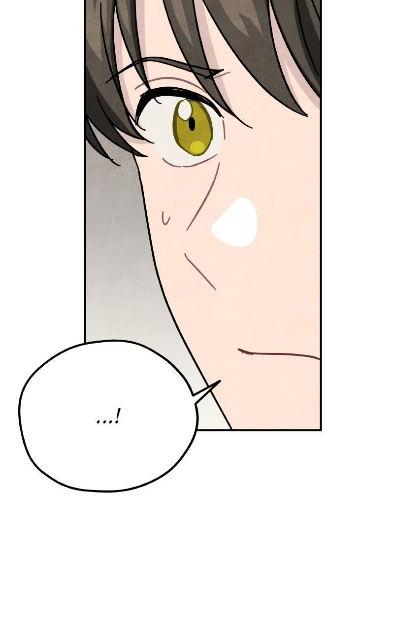 Read Potion Witch Manga Online