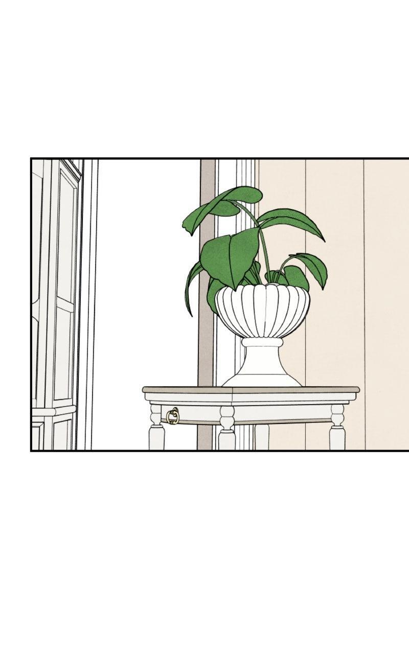 Read Potion Witch Manga Online