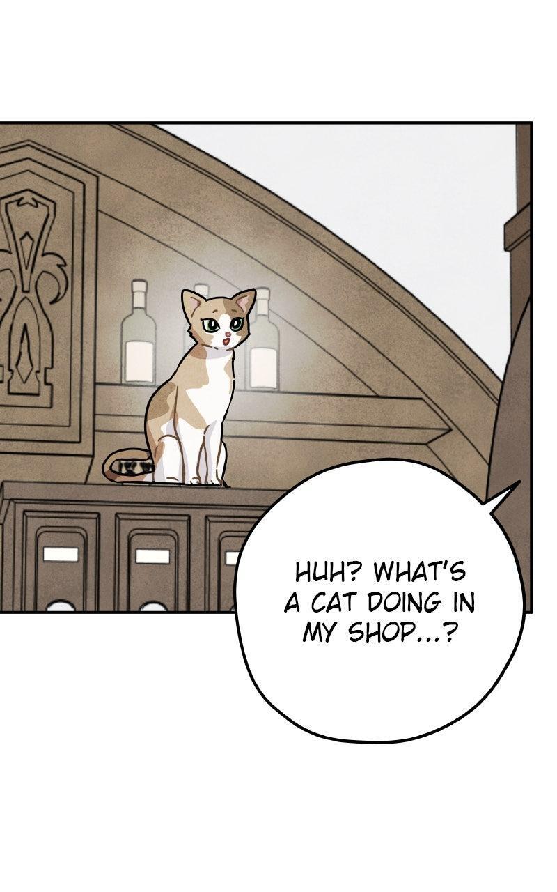 Read Potion Witch Manga Online