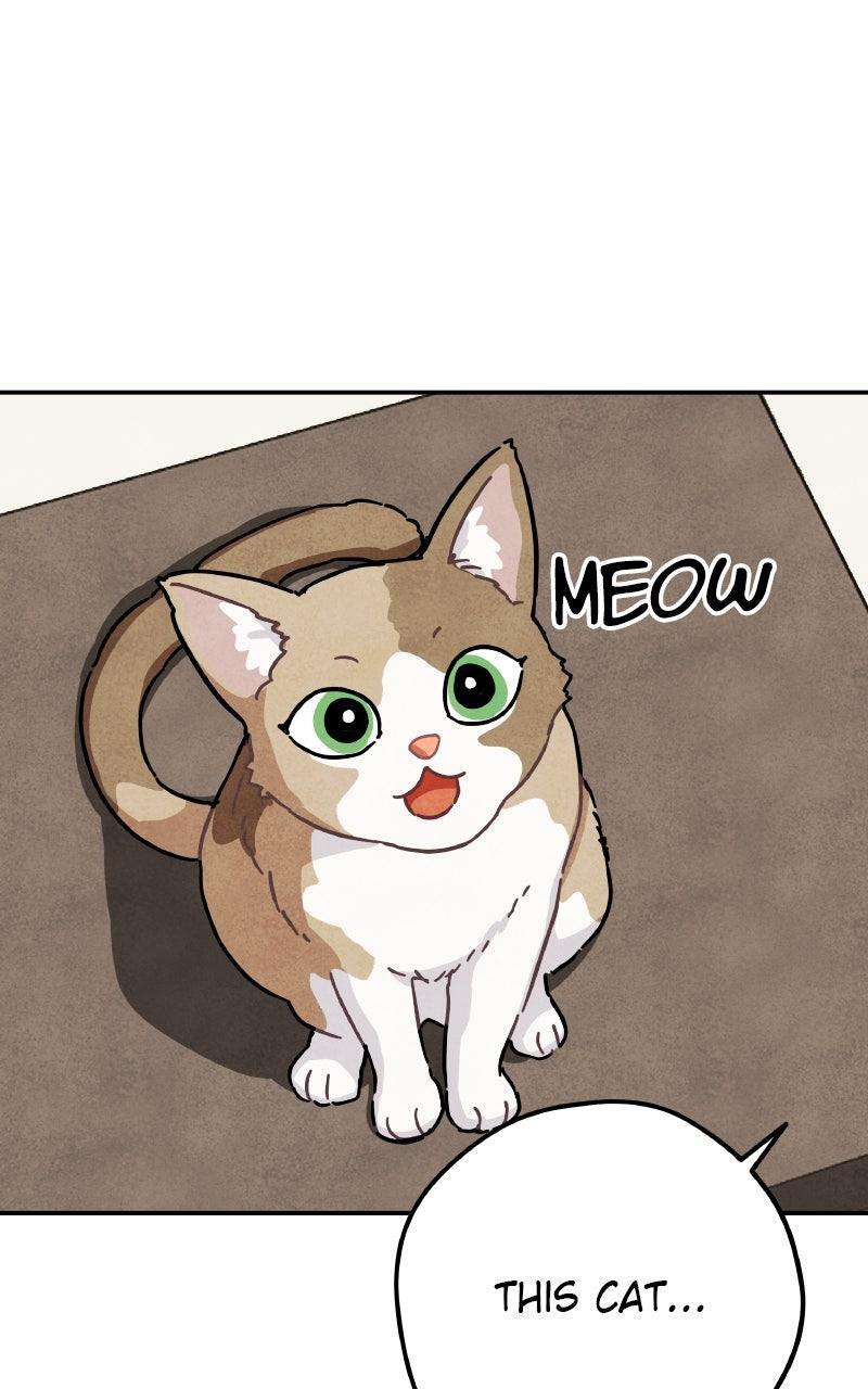 Read Potion Witch Manga Online