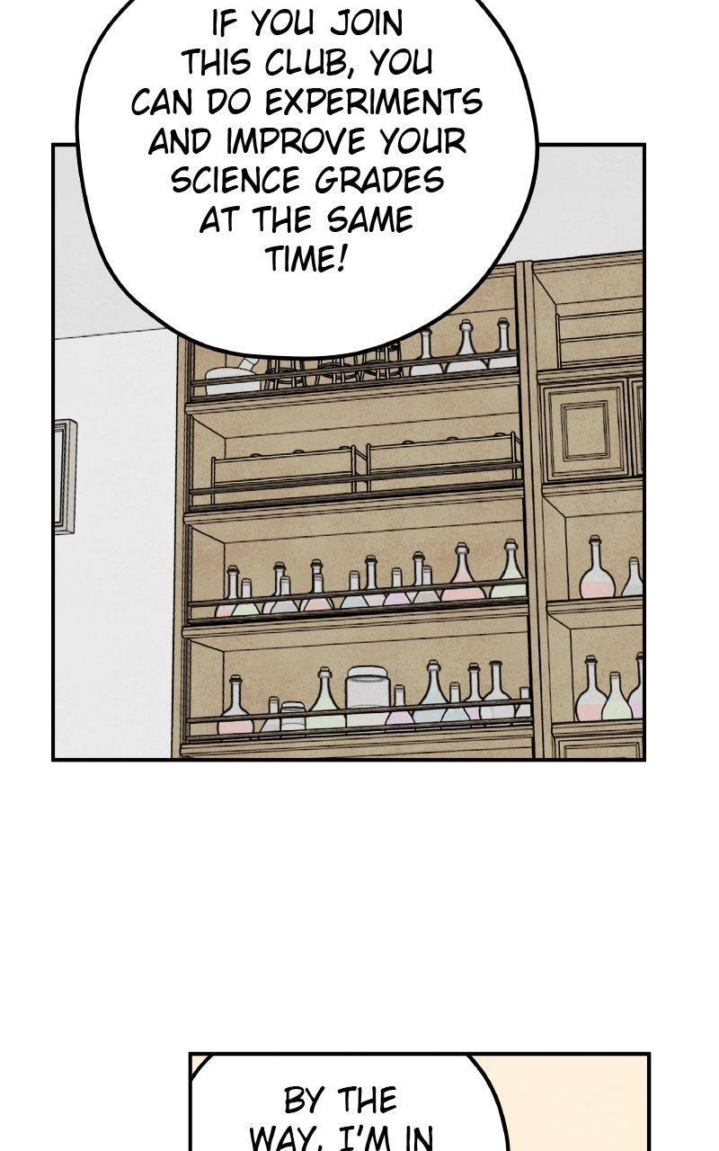 Read Potion Witch Manga Online