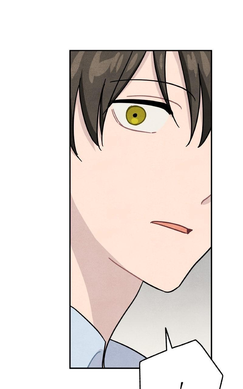 Read Potion Witch Manga Online