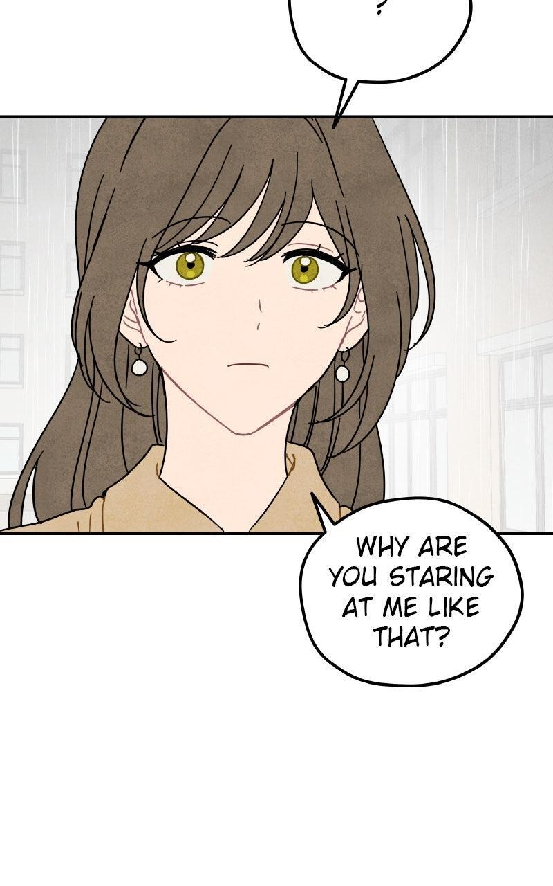 Read Potion Witch Manga Online