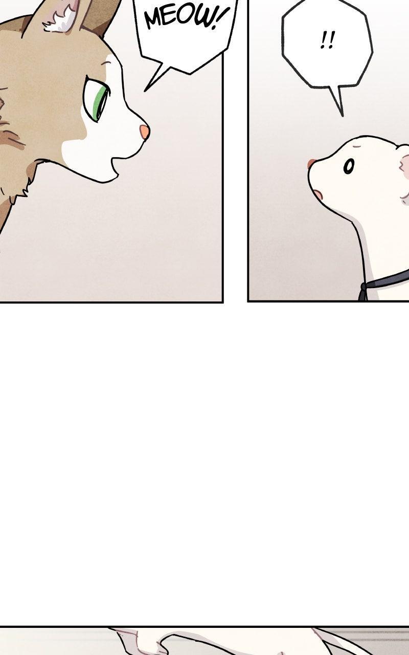 Read Potion Witch Manga Online