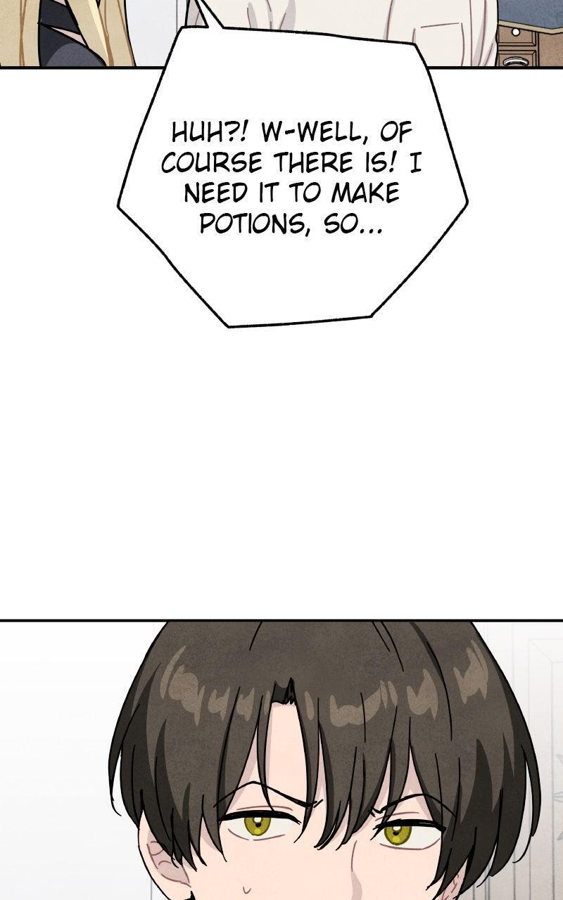 Read Potion Witch Manga Online