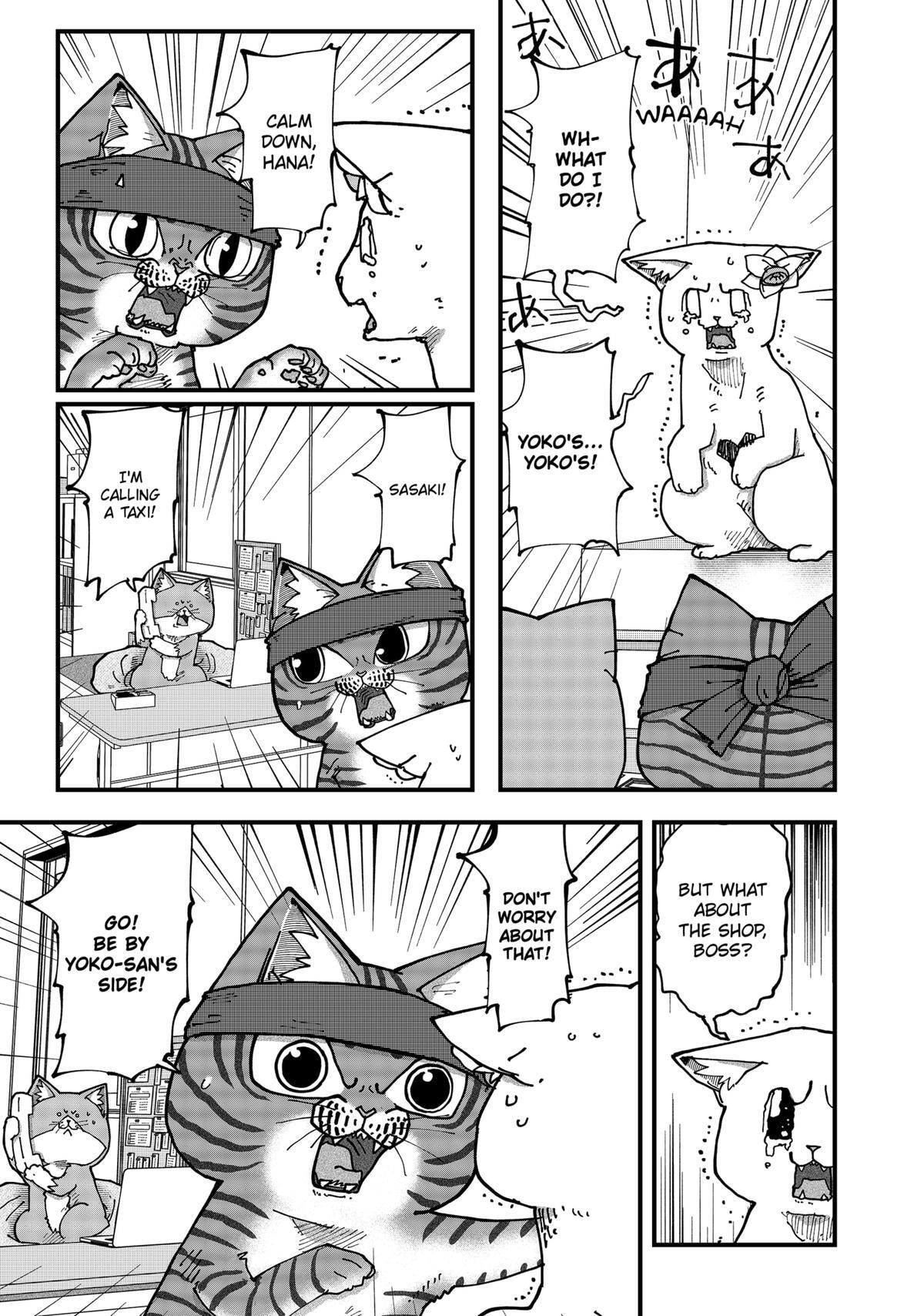 Read Red Cat Ramen Manga Online