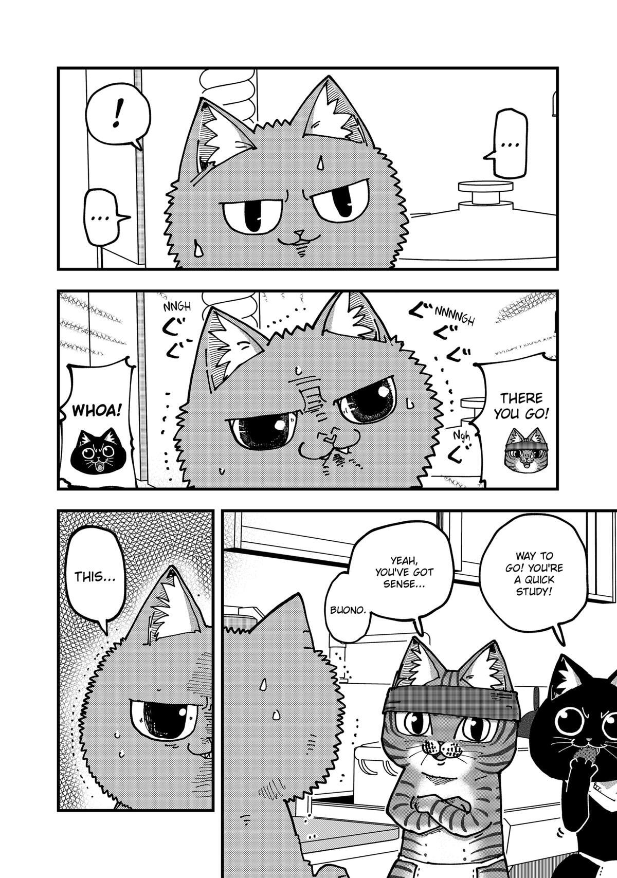 Read Red Cat Ramen Manga Online
