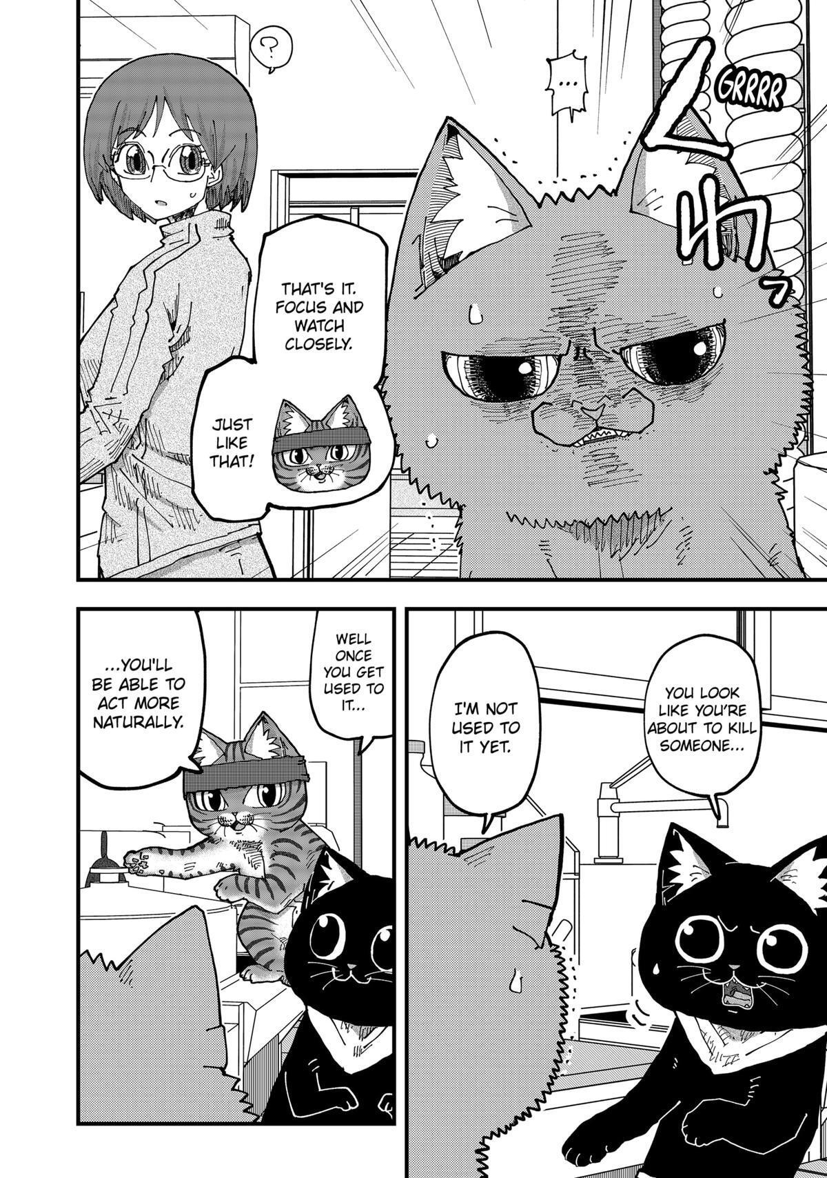 Read Red Cat Ramen Manga Online