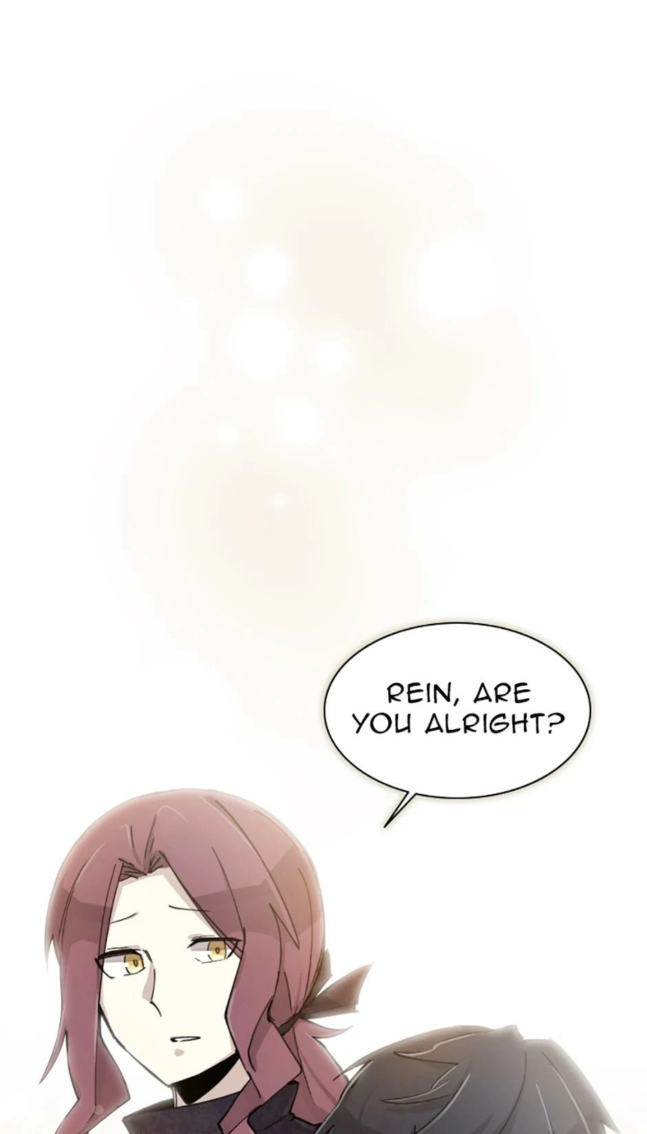 Read Reincarnation of the Hero Party's Grand Mage Manga Online