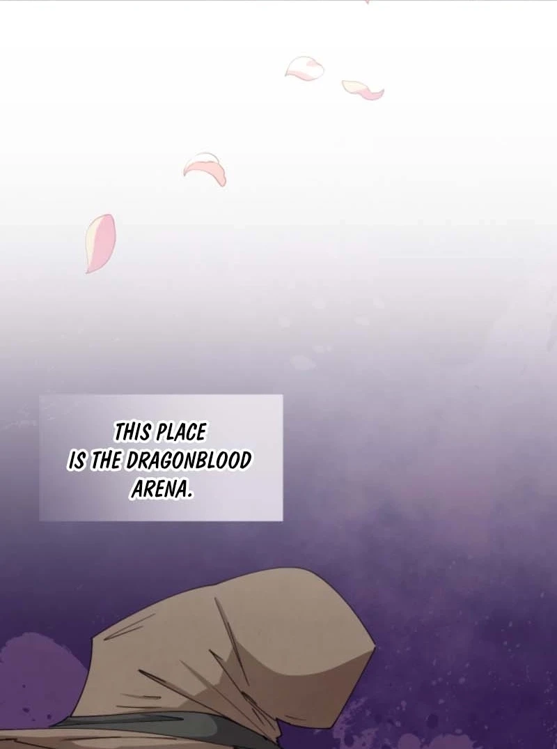 Read Reincarnation of the Hero Party's Grand Mage Manga Online