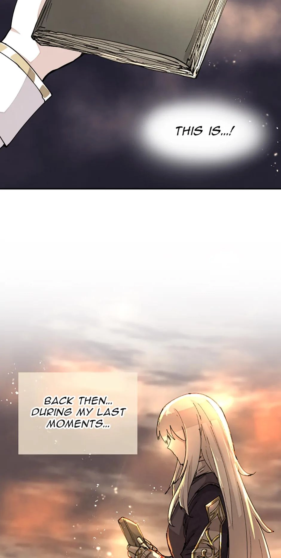 Read Reincarnation of the Hero Party's Grand Mage Manga Online