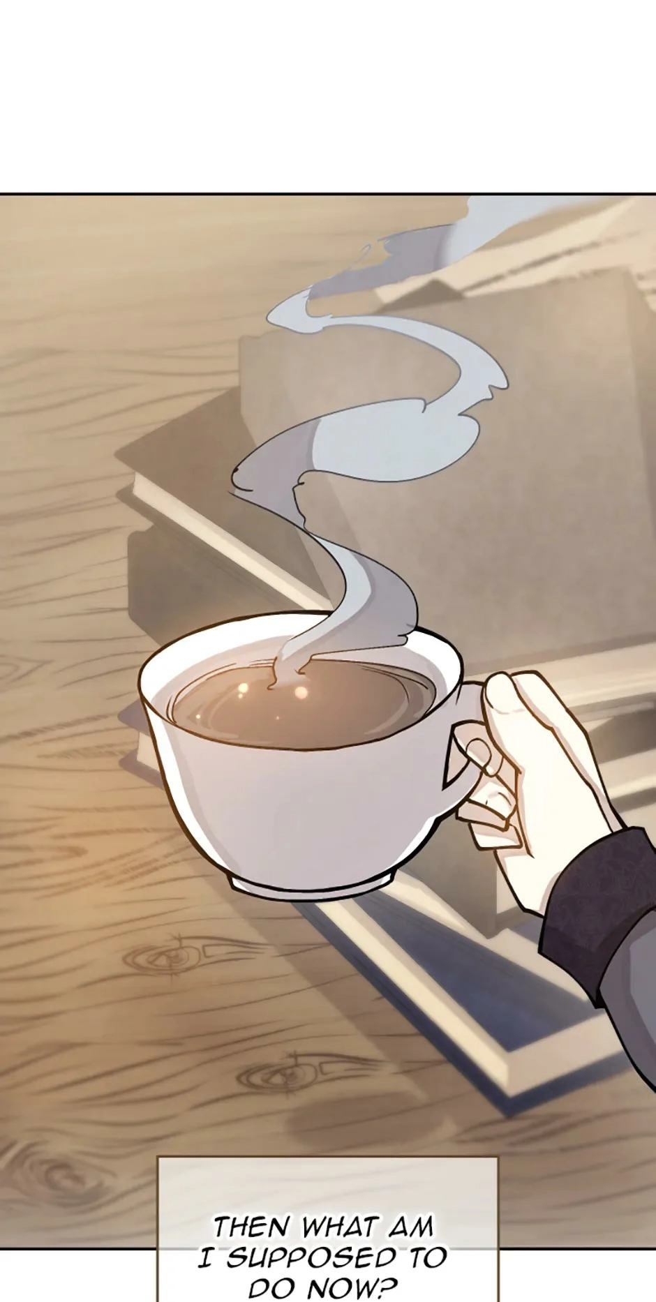 Read Reincarnation of the Hero Party's Grand Mage Manga Online