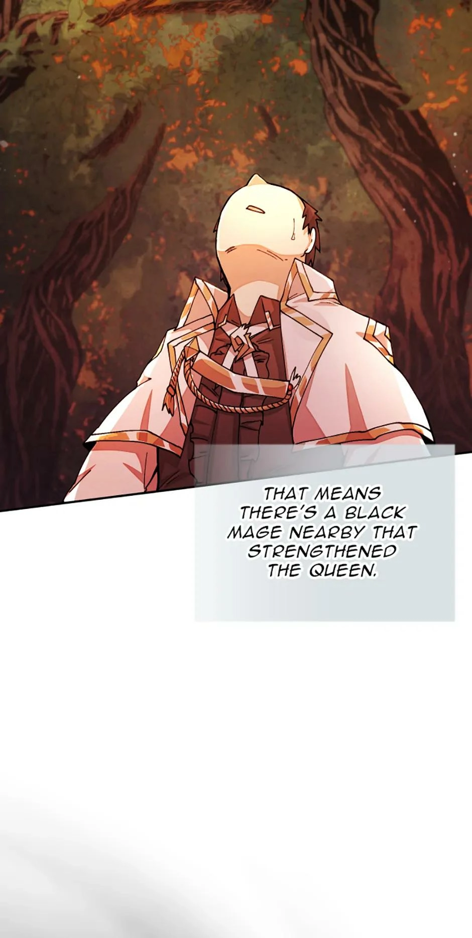 Read Reincarnation of the Hero Party's Grand Mage Manga Online