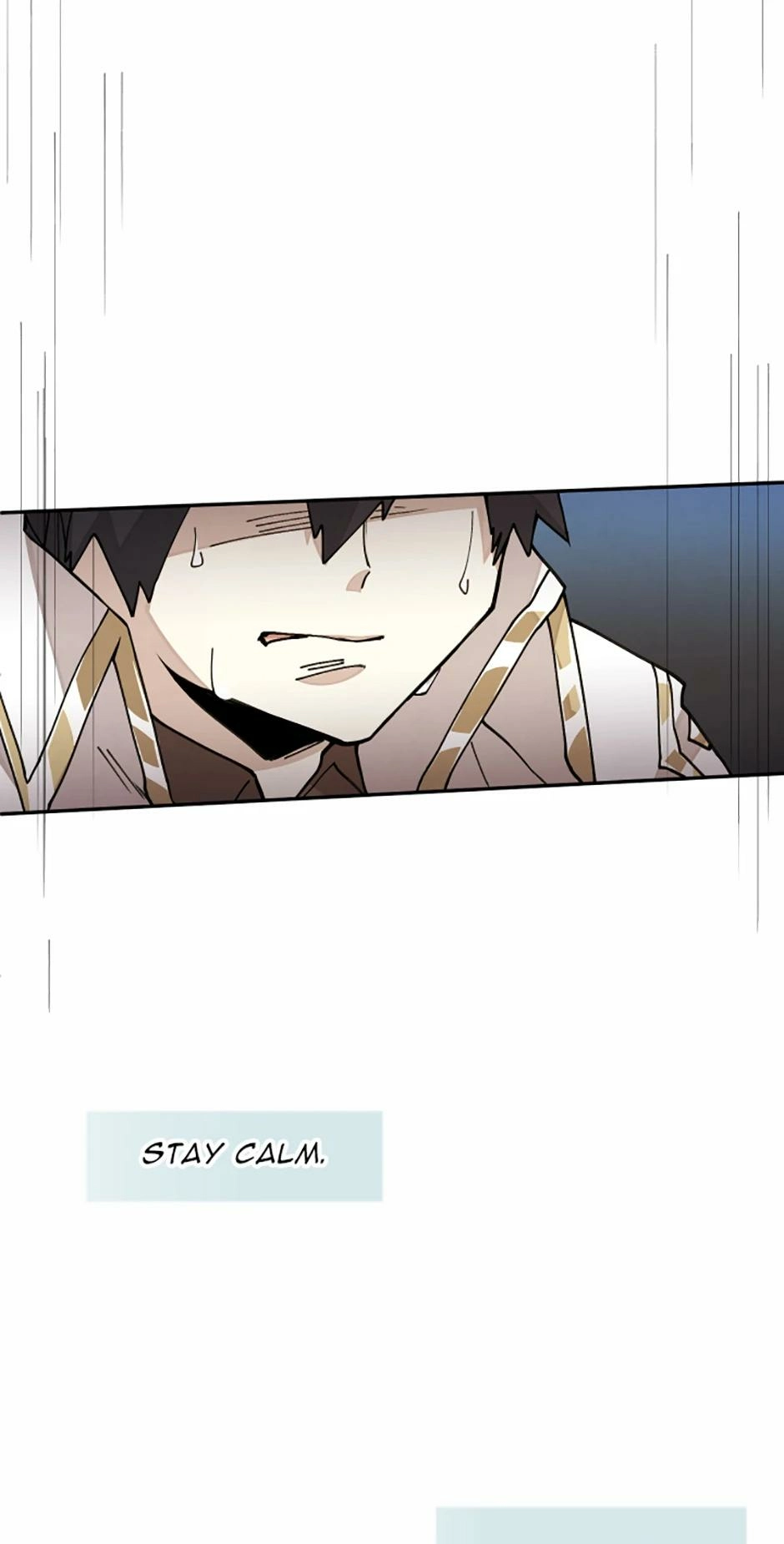 Read Reincarnation of the Hero Party's Grand Mage Manga Online