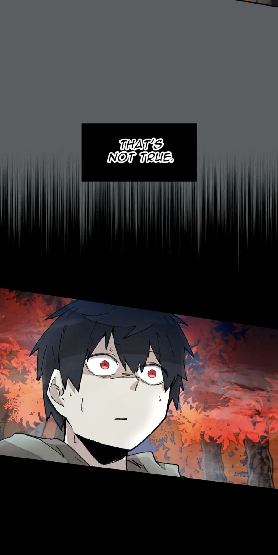 Read Reincarnation of the Hero Party's Grand Mage Manga Online