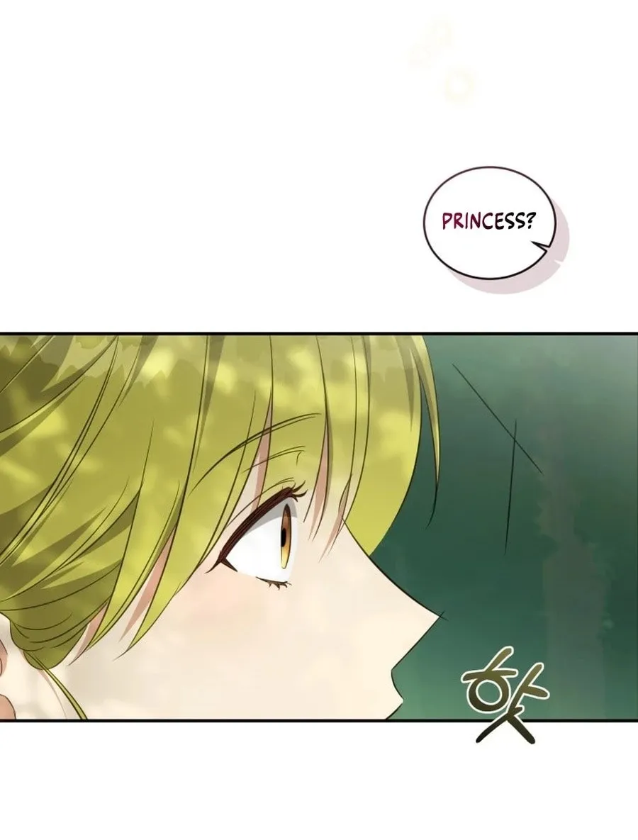 Read Revolutionary Princess Eve Manga Online