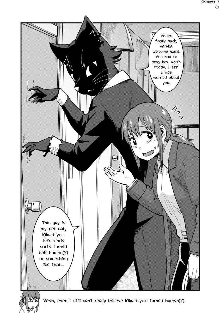 Read Saeki-sanka no Black Cat Manga Online