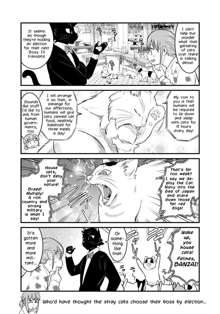 Read Saeki-sanka no Black Cat Manga Online