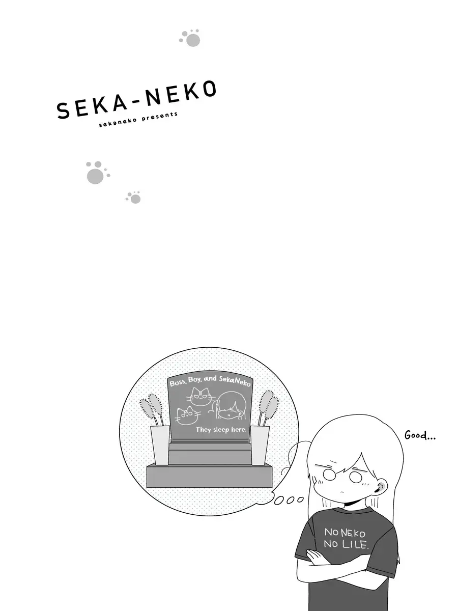 Read Sekai wo Teki ni Mawashitemo Neko wo Aishiteru Manga Online