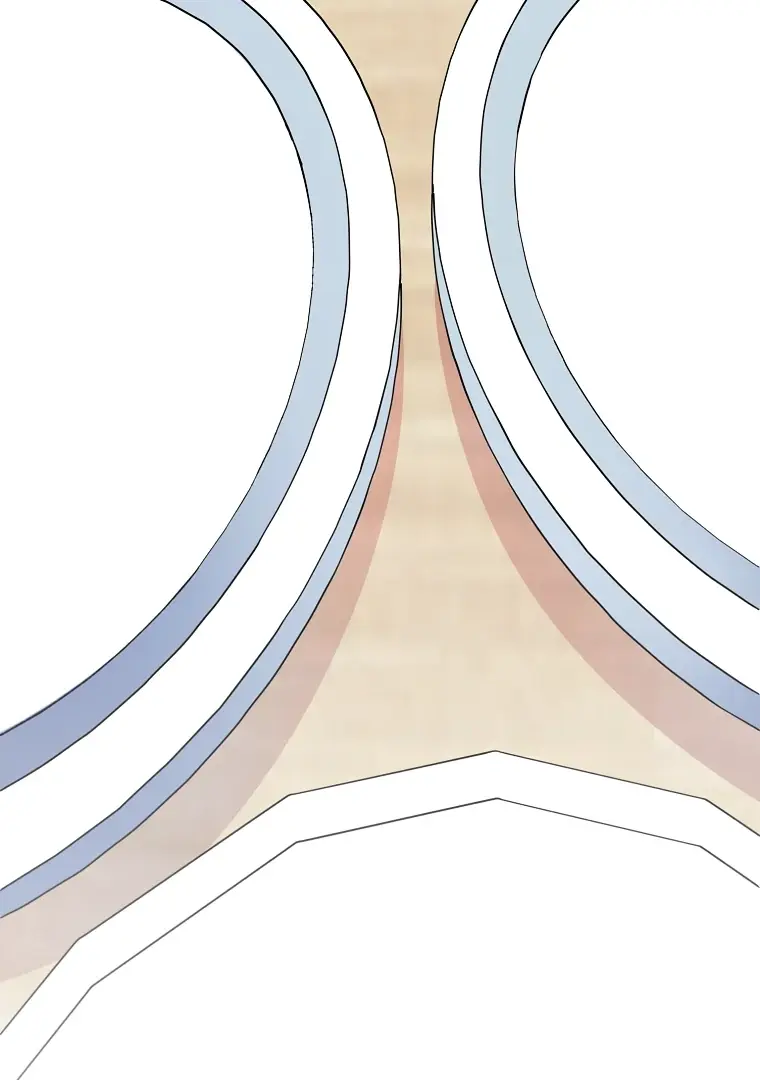 Read Shadow Moon Manga Online