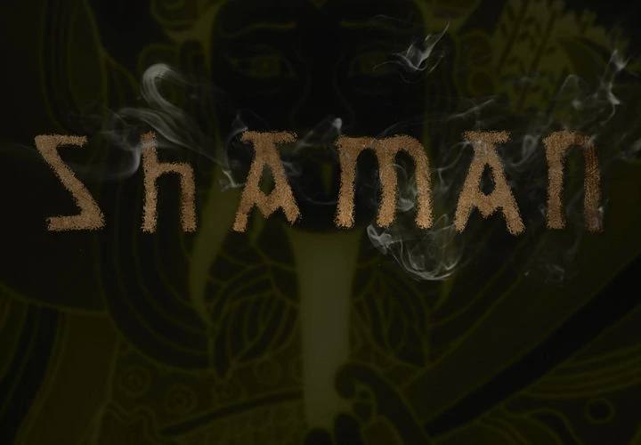 Read Shaman Manga Online