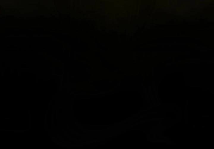 Read Shaman Manga Online