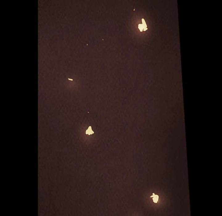 Read Shaman Manga Online