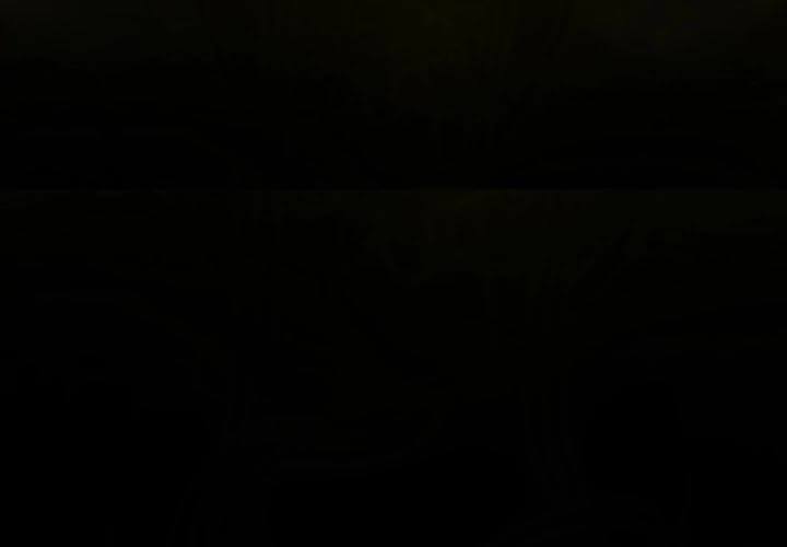 Read Shaman Manga Online