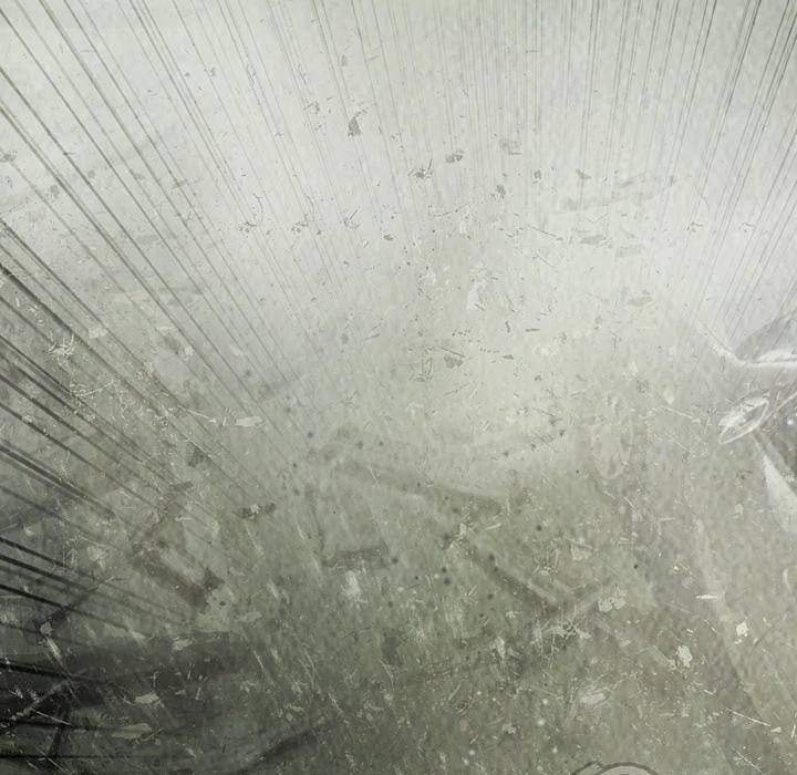 Read Shaman Manga Online